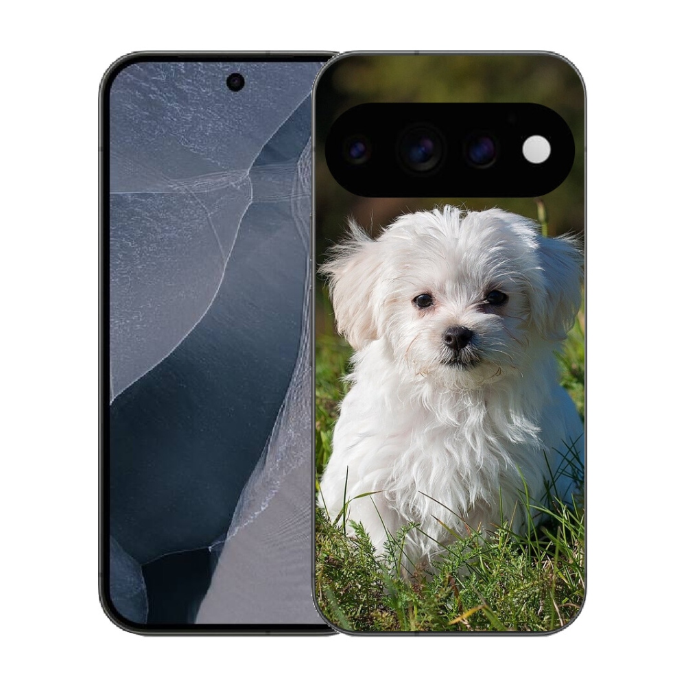 mmCase gél tok a Google Pixel 11 Pro-hoz – bichon frisé