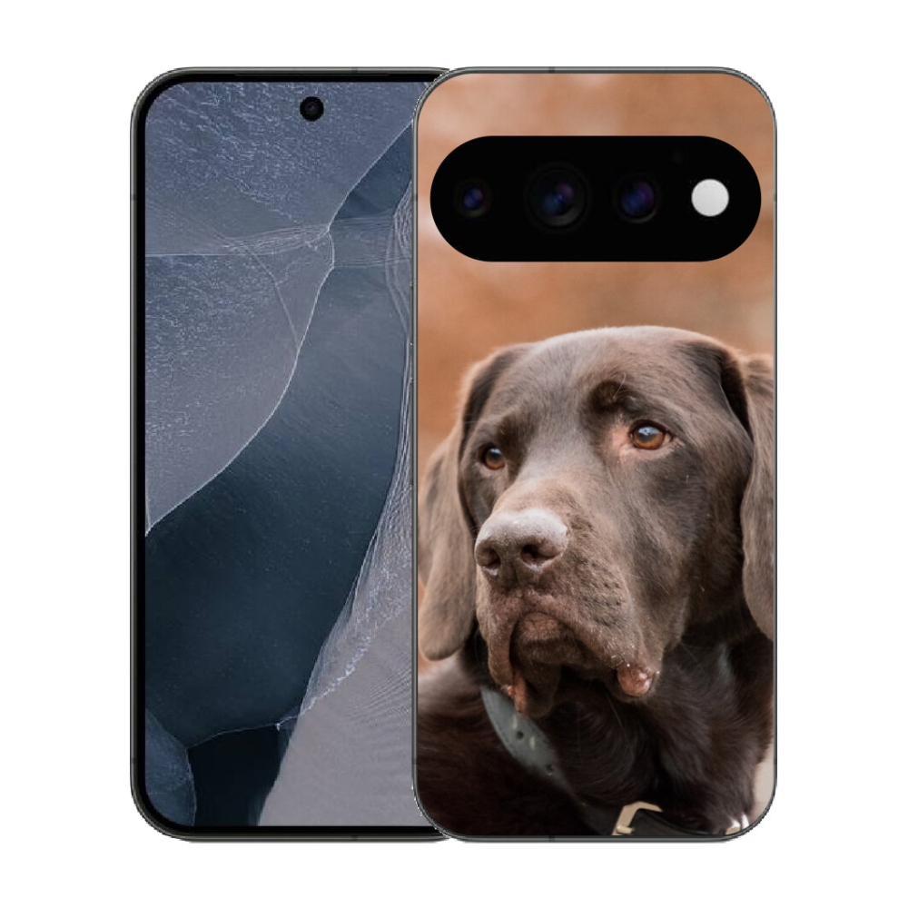 mmCase gél tok a Google Pixel 11 Pro-hoz – barna labrador