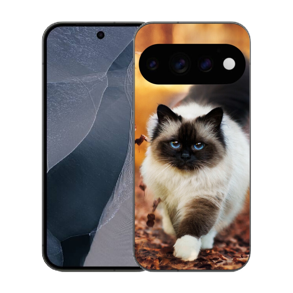 mmCase gél tok a Google Pixel 11 Pro-hoz – macska