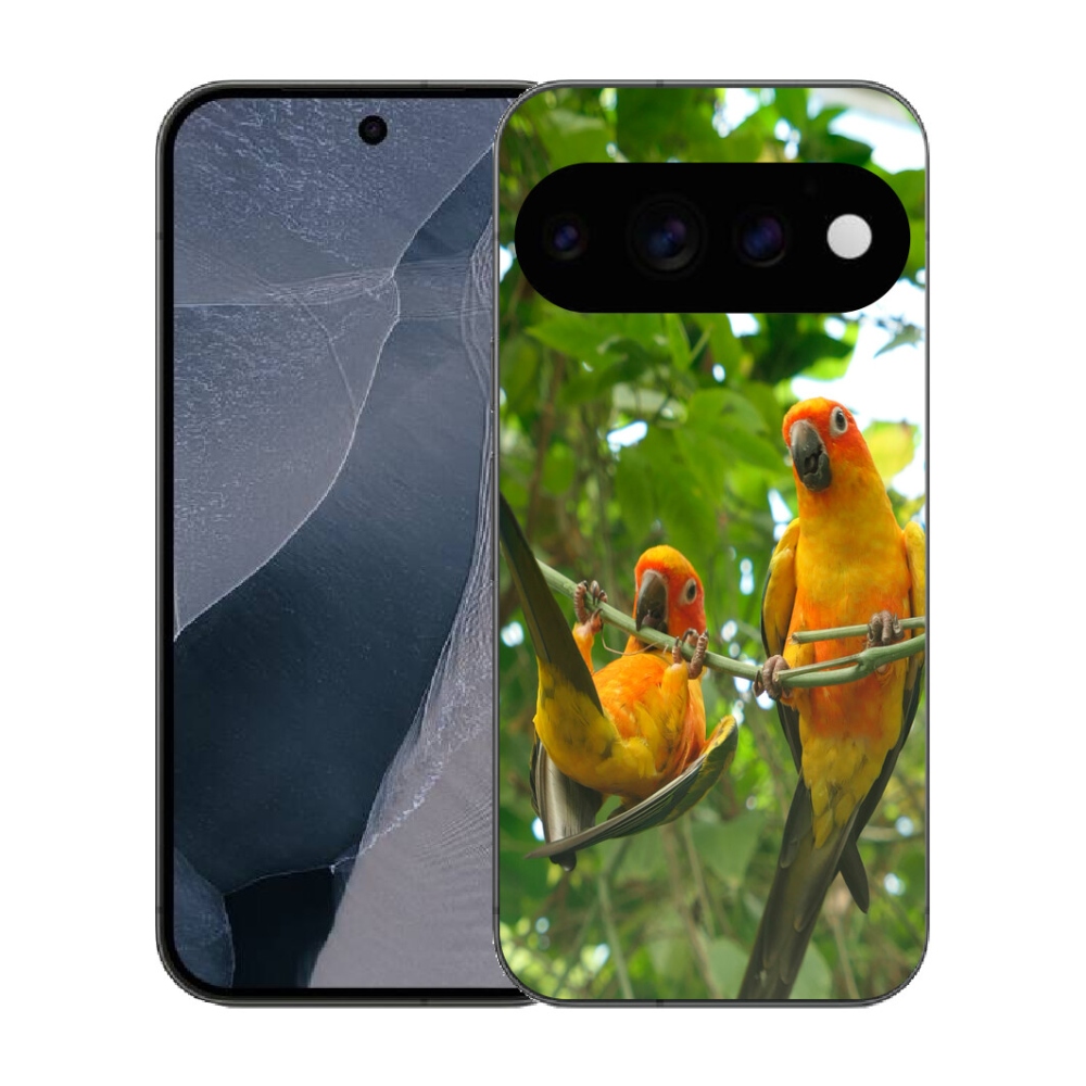 mmCase gél tok a Google Pixel 11 Pro-hoz – aratinga papagájok