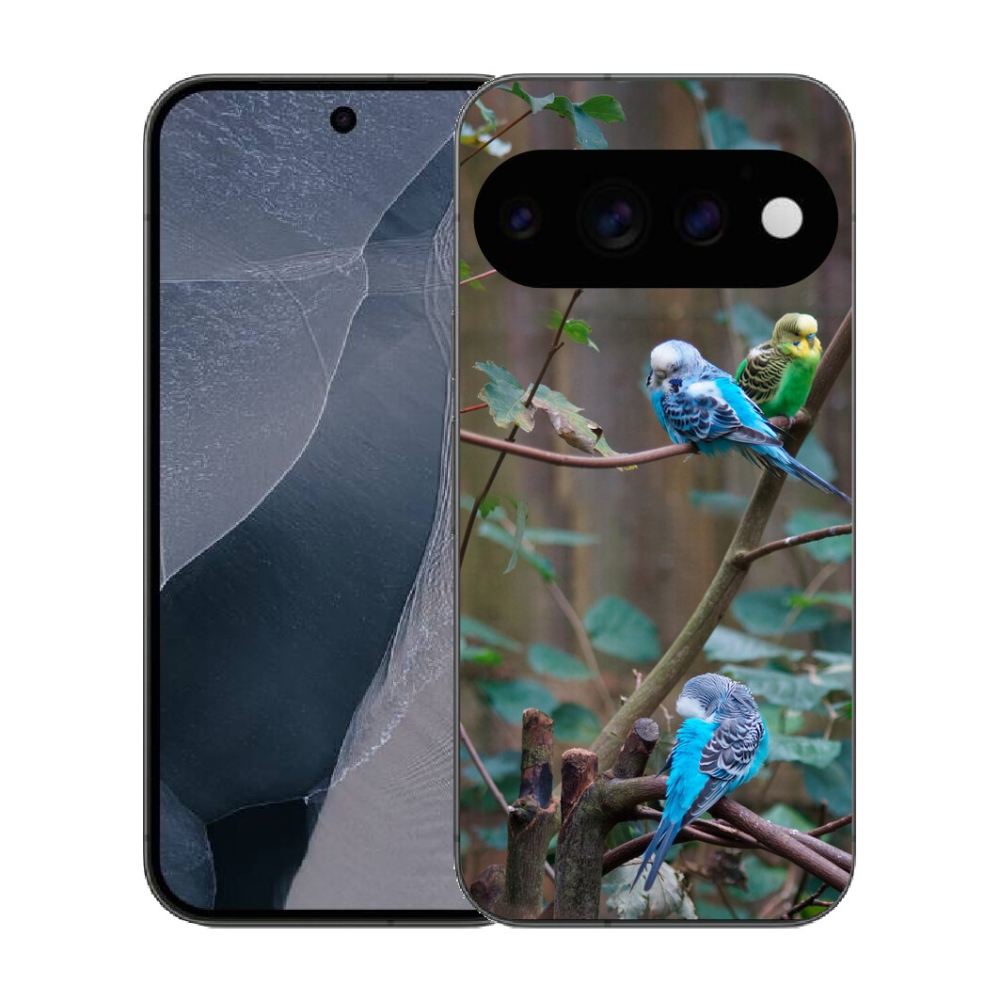 mmCase gél tok a Google Pixel 11 Pro-hoz – papagájok egy ágon