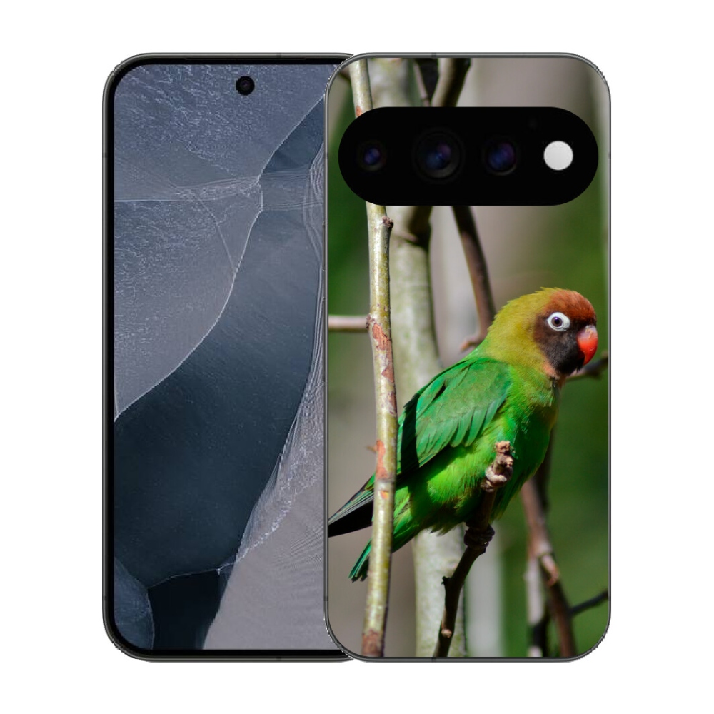 mmCase gél tok a Google Pixel 11 Pro-hoz – agapornis papagáj