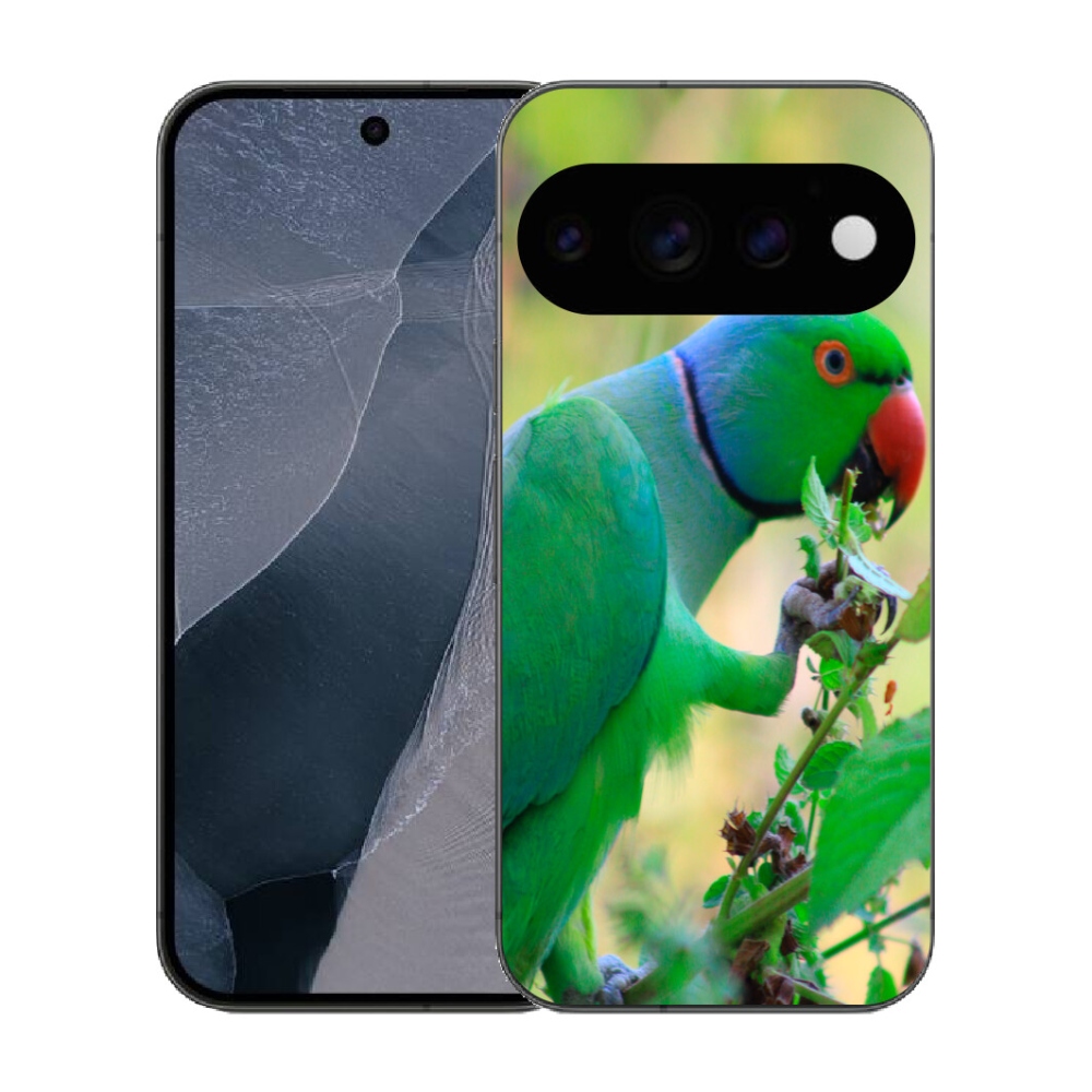 mmCase gél tok a Google Pixel 11 Pro-hoz – alexandri papagáj