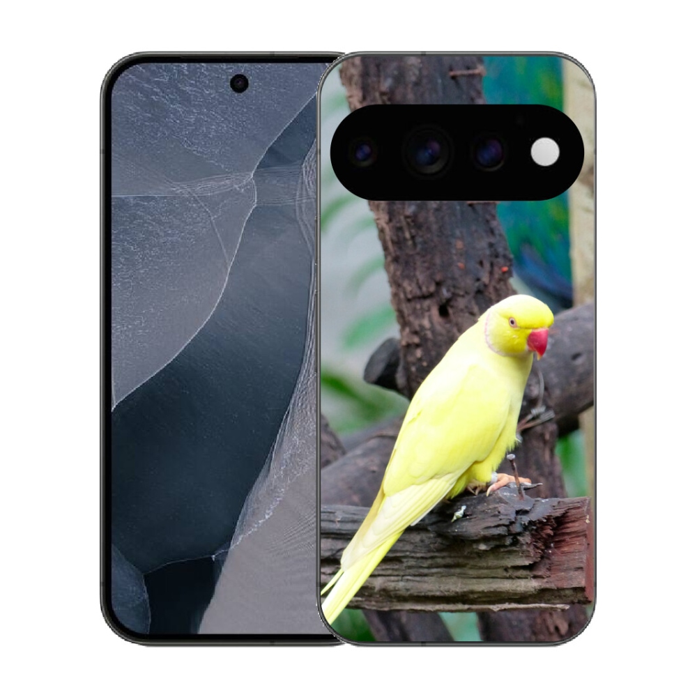 mmCase gél tok a Google Pixel 11 Pro-hoz – sárga alexandri papagáj