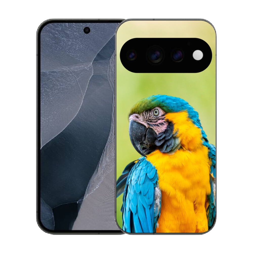 mmCase gél tok a Google Pixel 11 Pro-hoz – ara papagáj 2