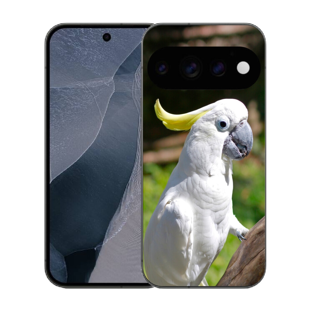 mmCase gél tok a Google Pixel 11 Pro-hoz – kakadu papagáj 2