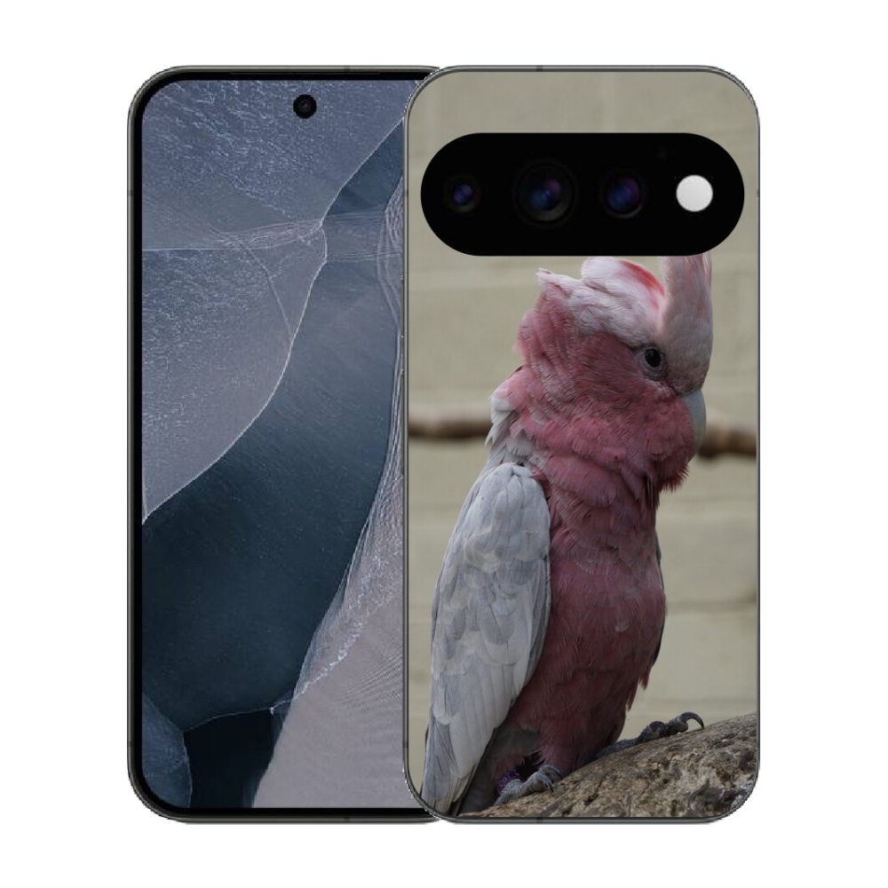 mmCase gél tok a Google Pixel 11 Pro-hoz – rózsaszín kakadu papagáj