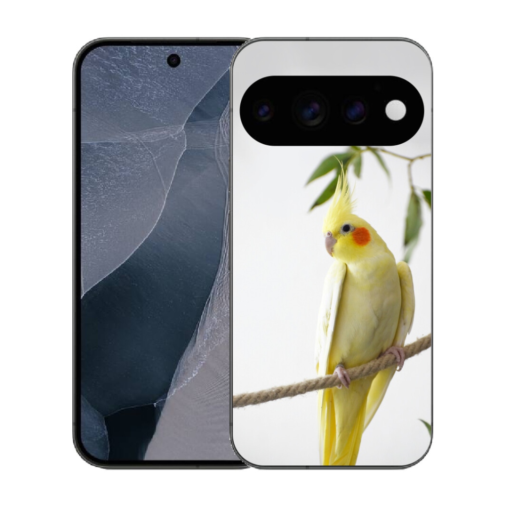 mmCase gél tok a Google Pixel 11 Pro-hoz – tollas papagáj