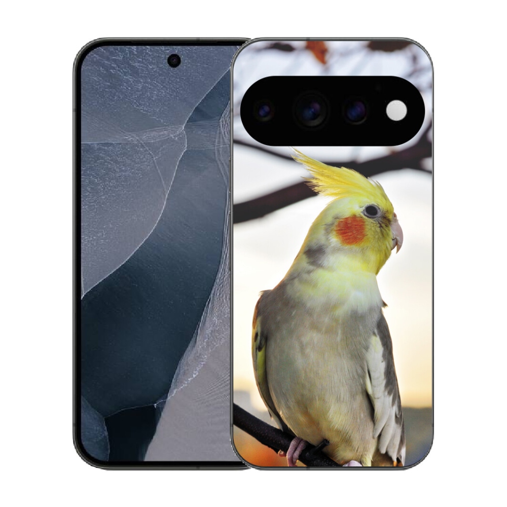 mmCase gél tok a Google Pixel 11 Pro-hoz – korella papagáj