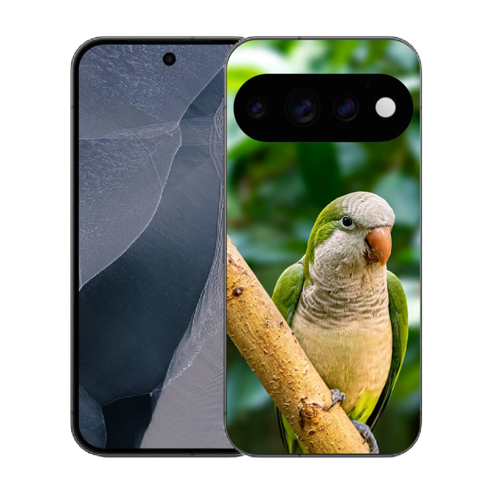 mmCase gél tok a Google Pixel 11 Pro-hoz – papagáj