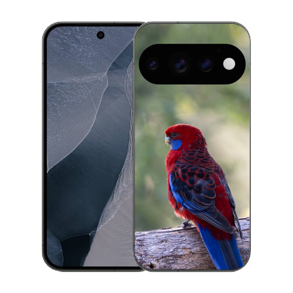 mmCase gél tok a Google Pixel 11 Pro-hoz – rosella papagáj