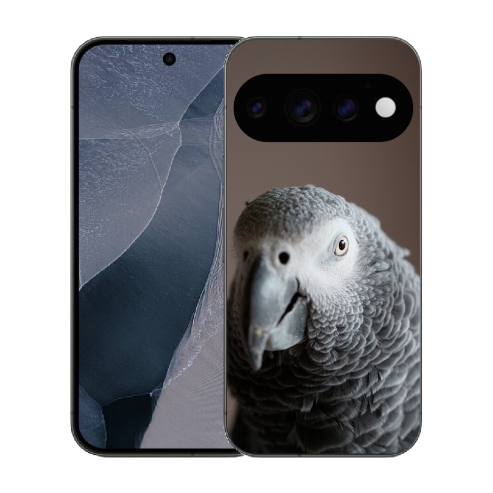 mmCase gél tok a Google Pixel 11 Pro-hoz – jakó papagáj 2