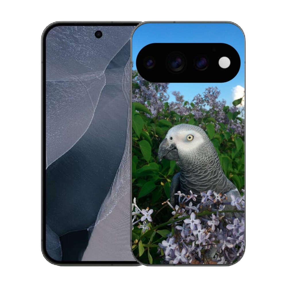 mmCase gél tok a Google Pixel 11 Pro-hoz – jakó papagáj