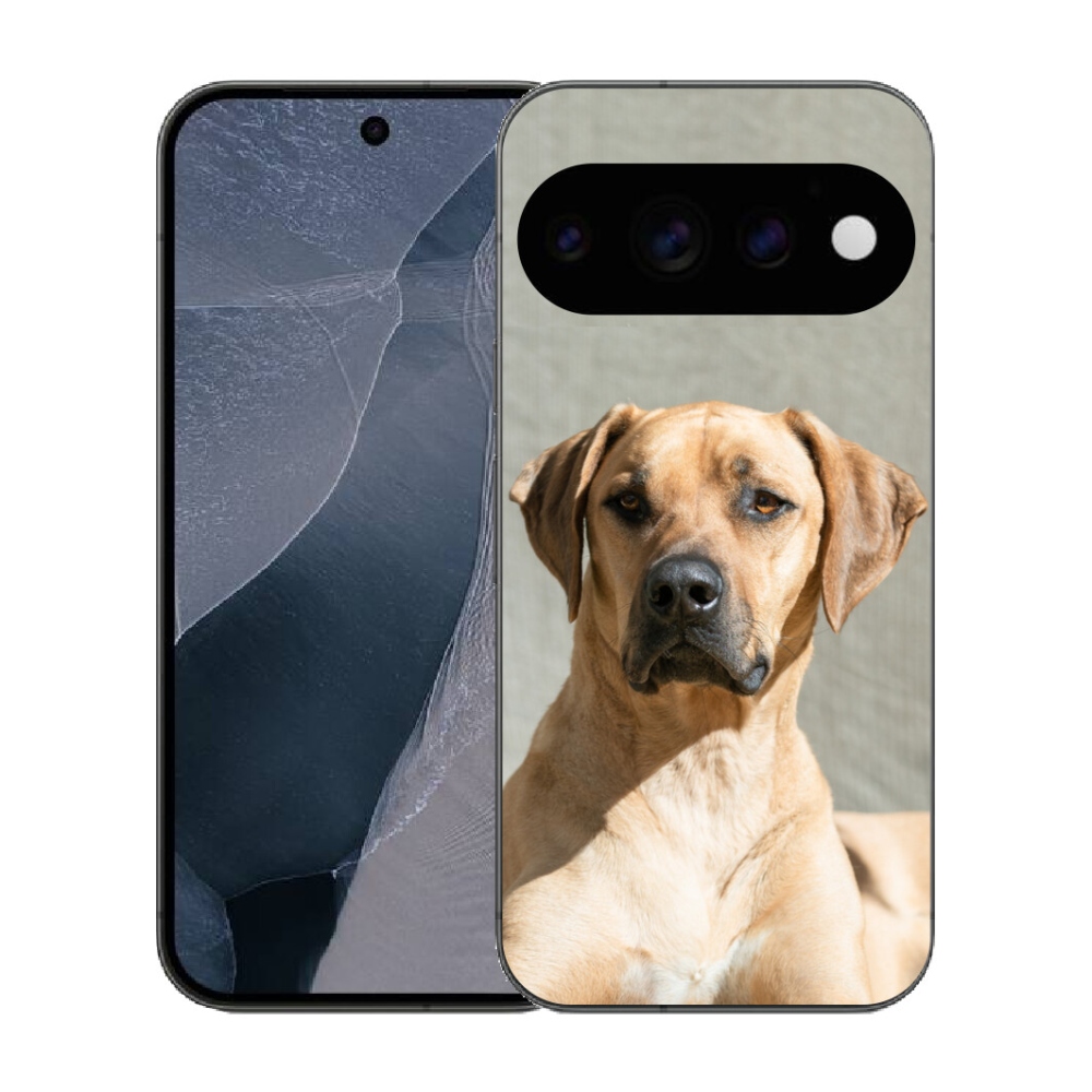 mmCase gél tok a Google Pixel 11 Pro-hoz – ridgeback