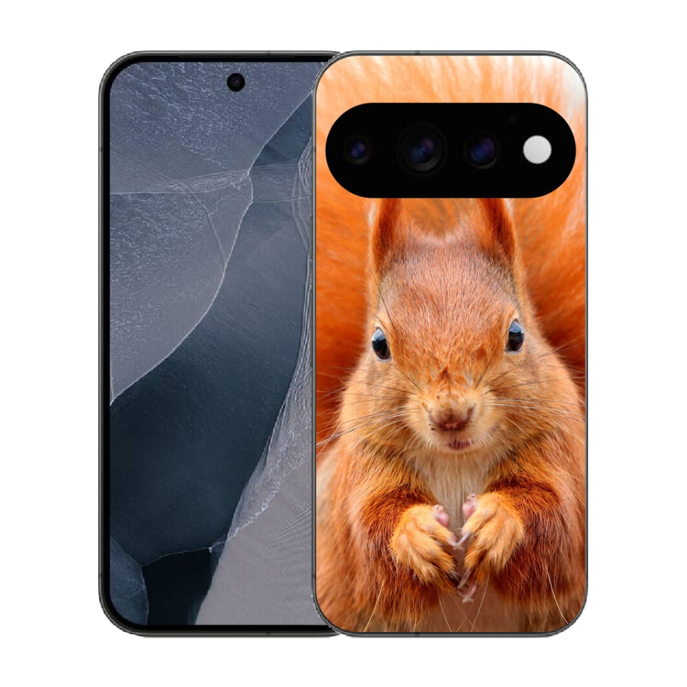mmCase gél tok a Google Pixel 11 Pro-hoz – mókus