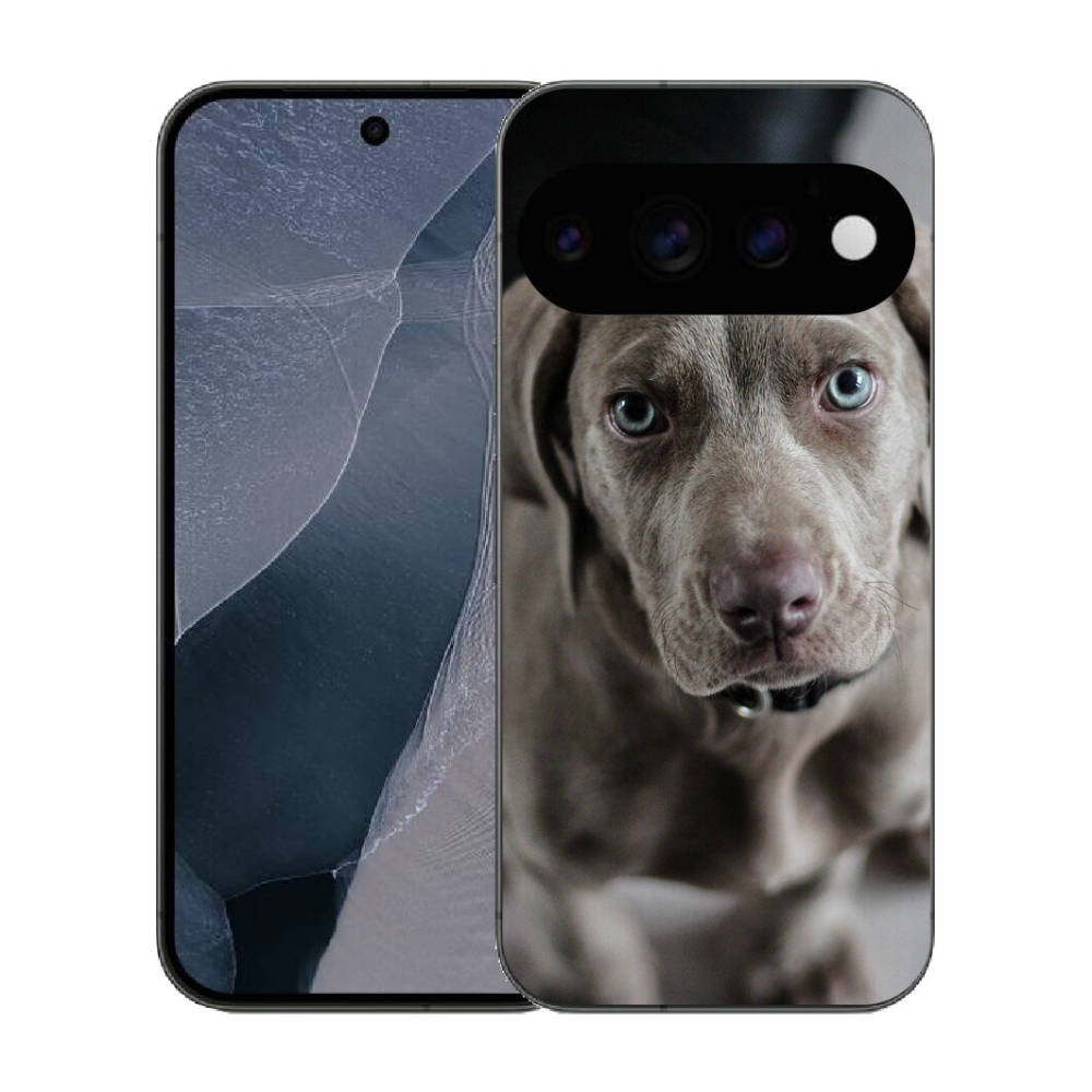 mmCase gél tok a Google Pixel 11 Pro-hoz – weimari vizsla