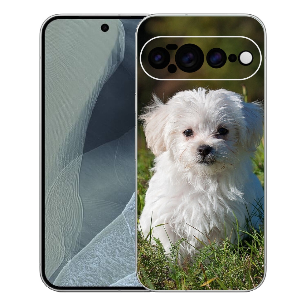 mmCase gél tok a Google Pixel 11 Pro XL-hez – bichon frisé