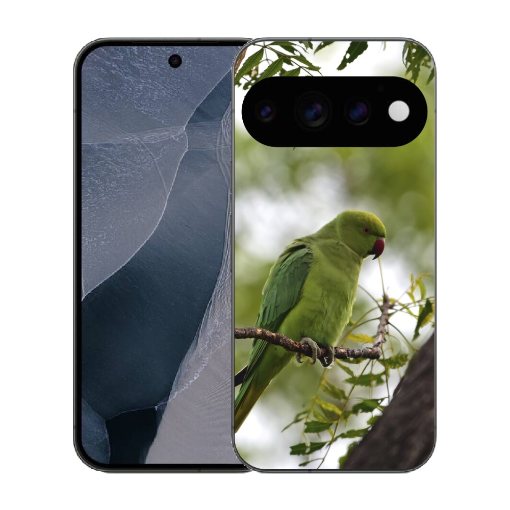 mmCase gél tok a Google Pixel 11 Pro-hoz – zöld papagáj