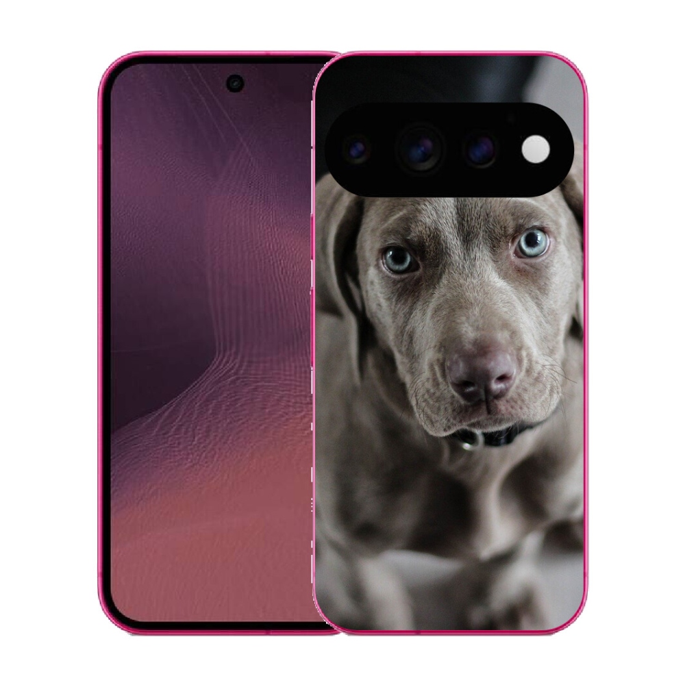 mmCase gél tok a Google Pixel 11-hez – weimari vizsla
