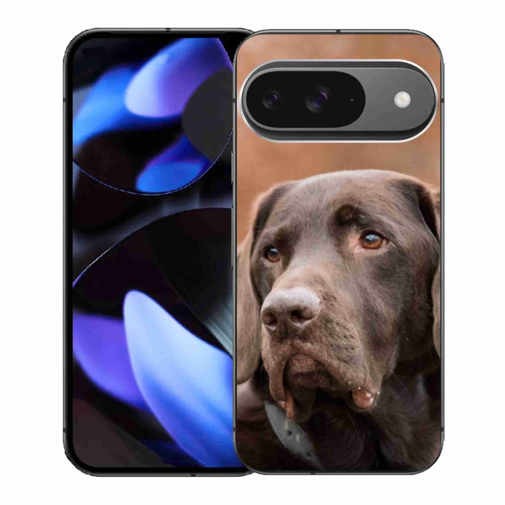 Zselés borítás mmCase a Google Pixel 9-hez - barna labrador