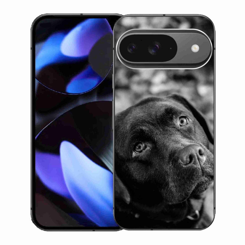 Zselés borítás mmCase a Google Pixel 9-hez - labrador