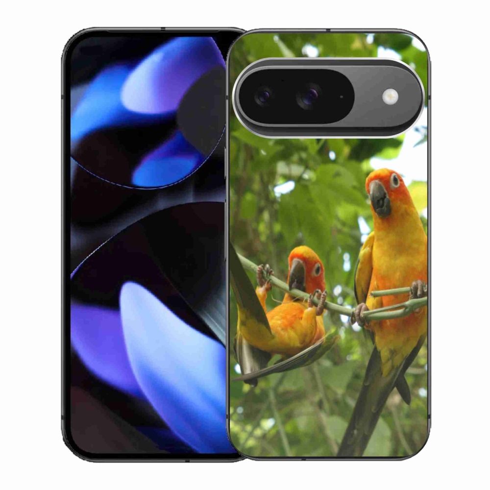 Gél borítás mmCase a Google Pixel 9-hez - papagájok aratingy