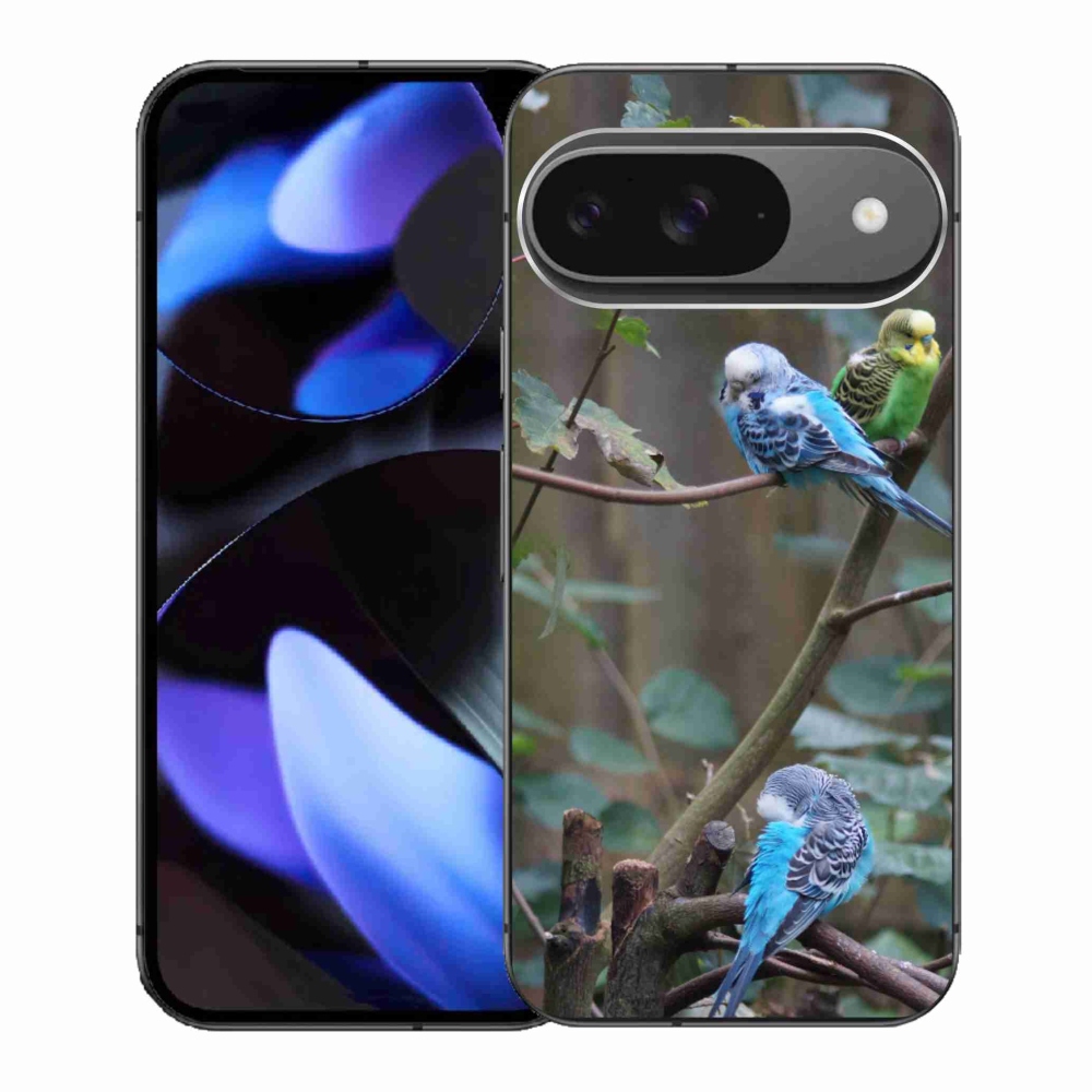 Gél borítás mmCase a Google Pixel 9-hez - papagájok az ágon