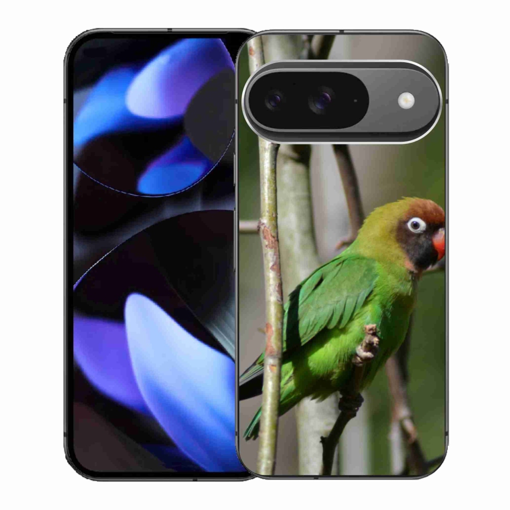 Gél borítás mmCase a Google Pixel 9-hez - papagáj agapornis