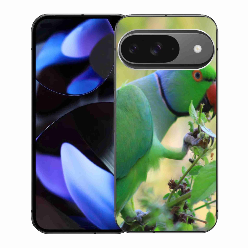 Gél borítás mmCase a Google Pixel 9-hez - papagáj alexandr