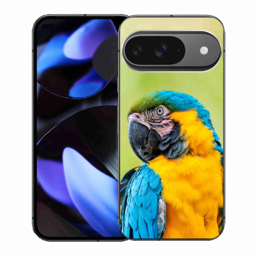 Gél borítás mmCase a Google Pixel 9-hez - papagáj ara 2
