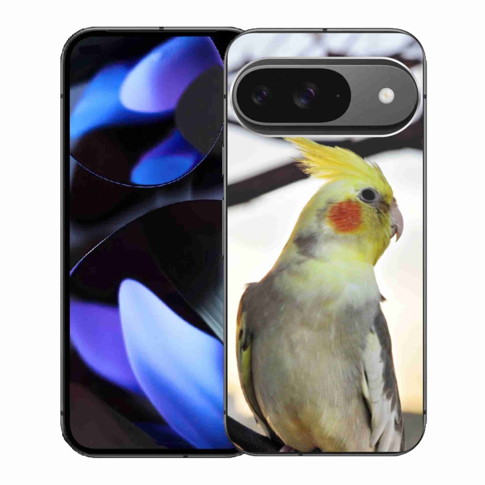 Gél borítás mmCase a Google Pixel 9-hez - papagáj korela