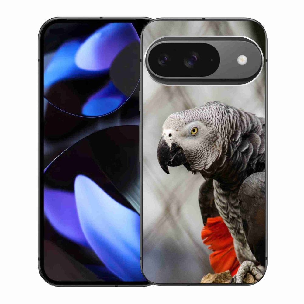 Gél borítás mmCase a Google Pixel 9-hez - papagáj jacko 3