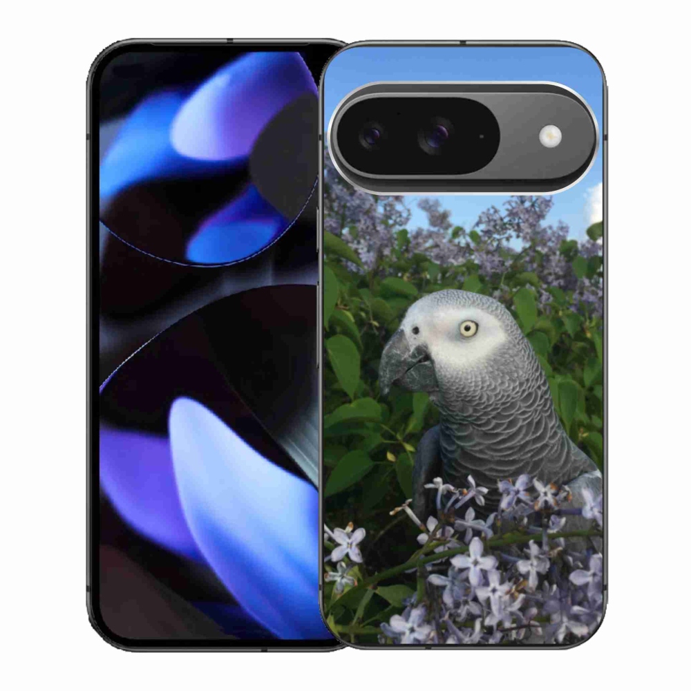 Gél borítás mmCase a Google Pixel 9-hez - papagáj jacko