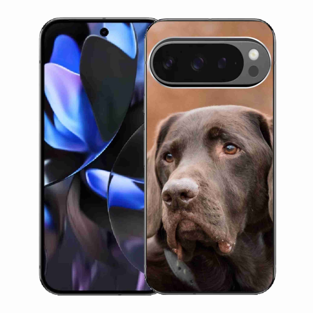 Zselés borítás mmCase a Google Pixel 9 Pro számára - barna labrador