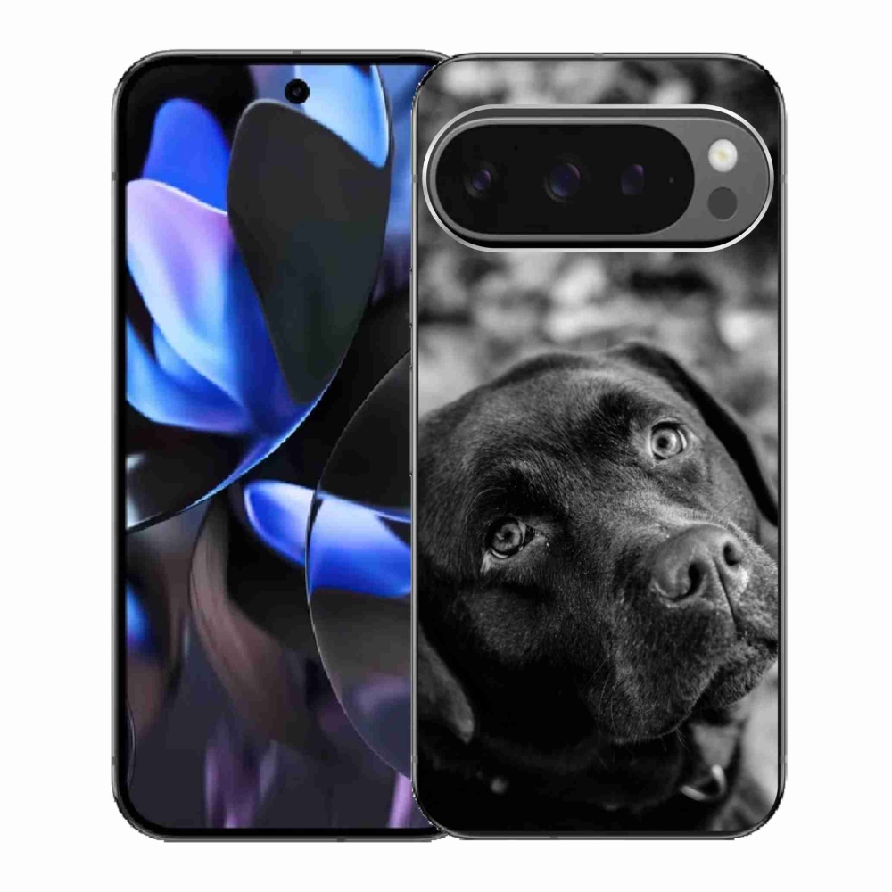 Gél borítás mmCase a Google Pixel 9 Pro számára - labrador