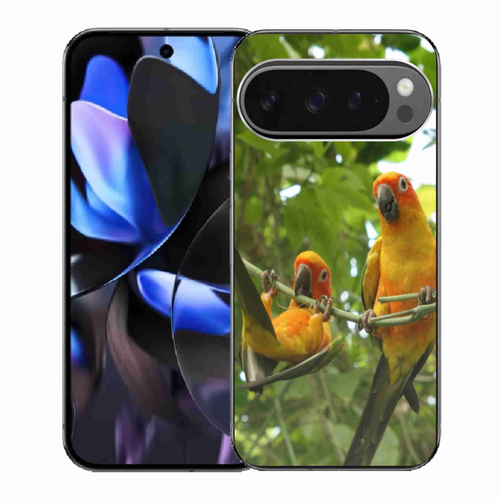 Gél borítás mmCase a Google Pixel 9 Pro számára - papagájok aratingy