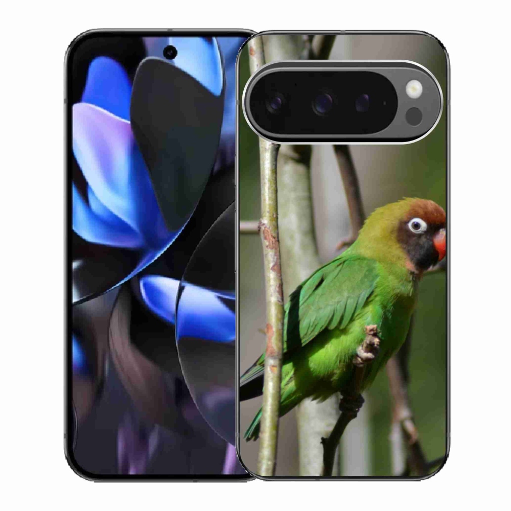 Gél borítás mmCase a Google Pixel 9 Pro számára - papagáj agapornis