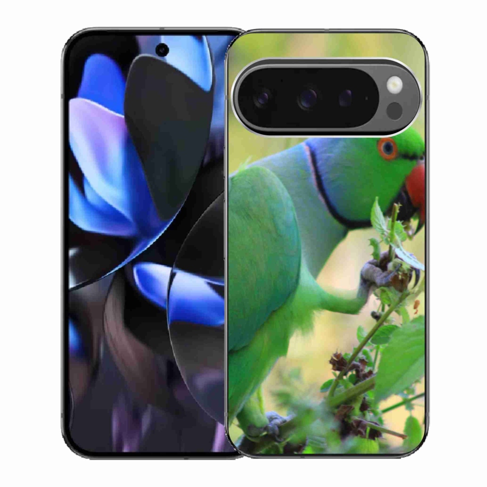 Gél borítás mmCase a Google Pixel 9 Pro számára - papagáj alexandr