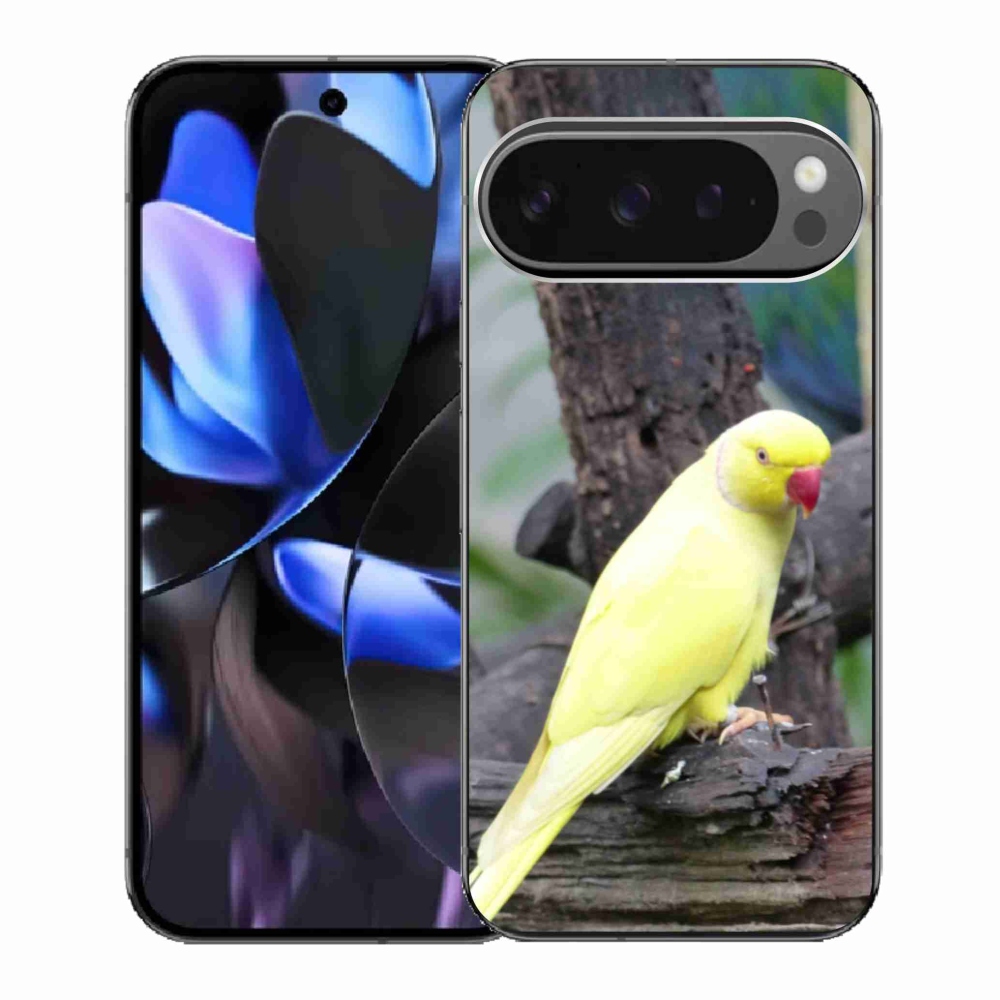 Gél borítás mmCase a Google Pixel 9 Pro készülékhez - papagáj alexander sárga
