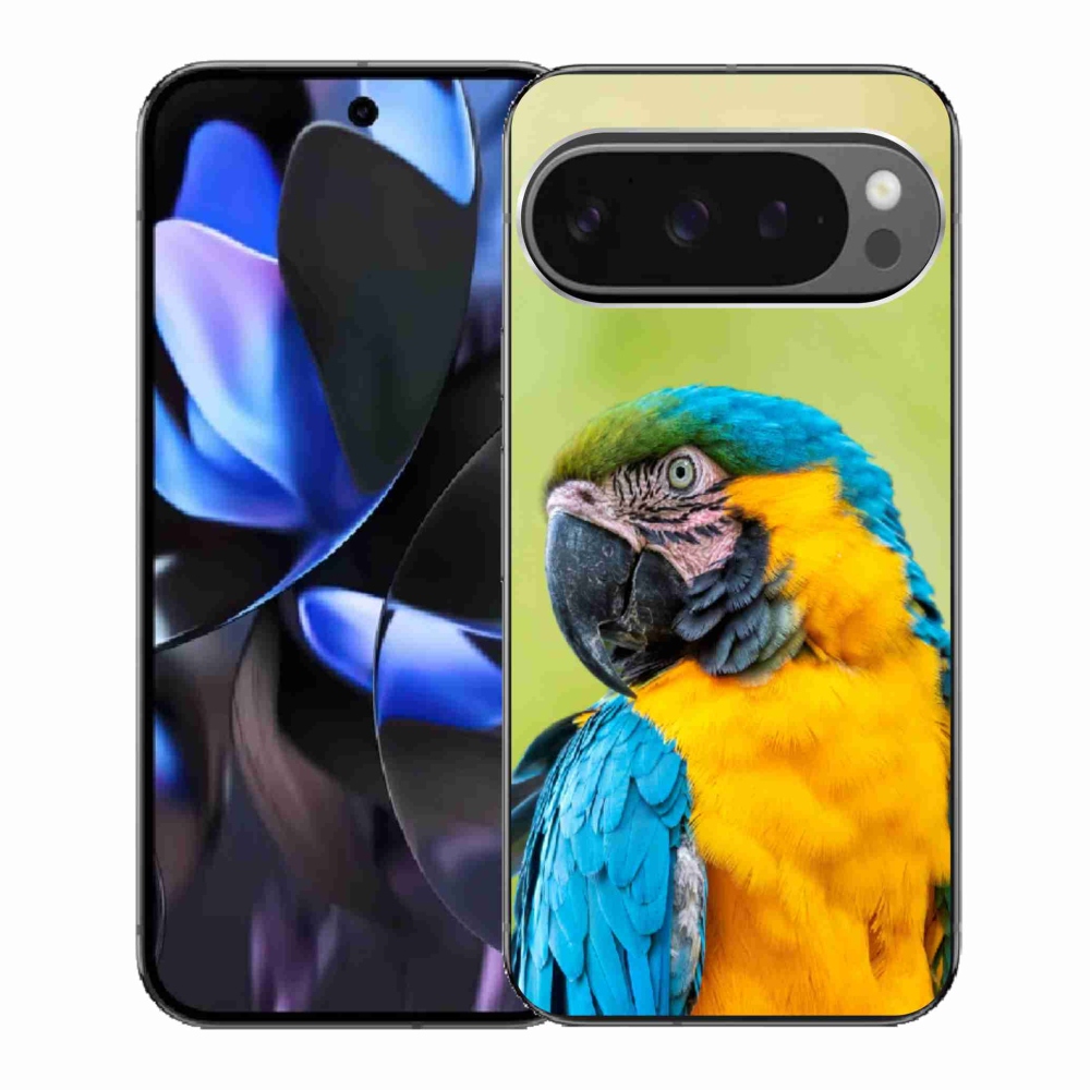 Gél borítás mmCase a Google Pixel 9 Pro számára - papagáj ara 2