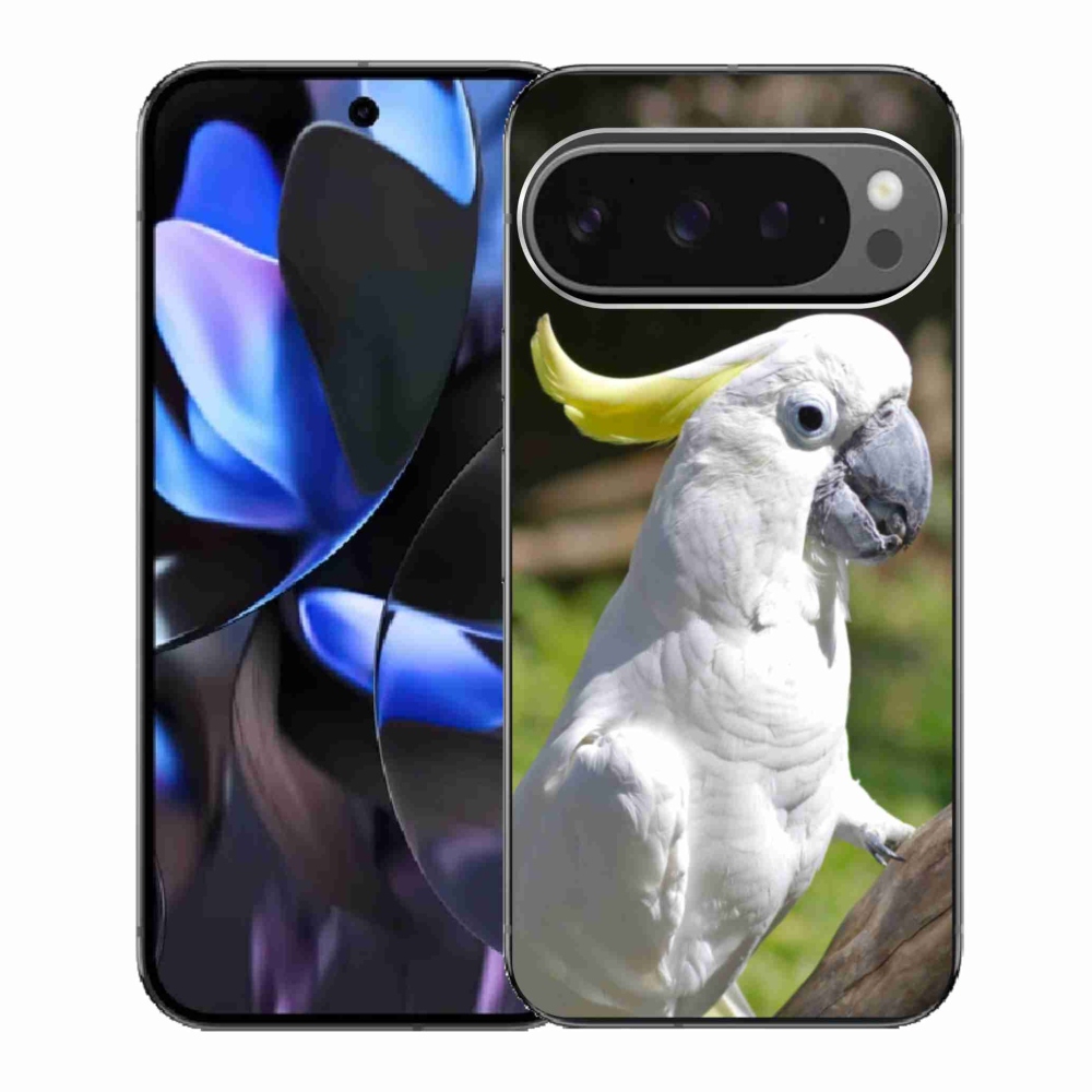 Gél borítás mmCase a Google Pixel 9 Pro számára - papagáj kakadu 2