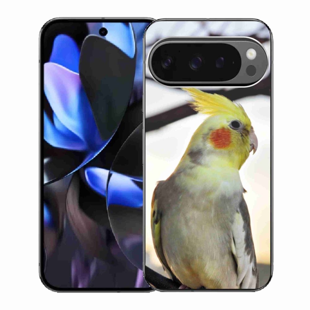 Zselés borítás mmCase a Google Pixel 9 Pro számára - papagáj korela