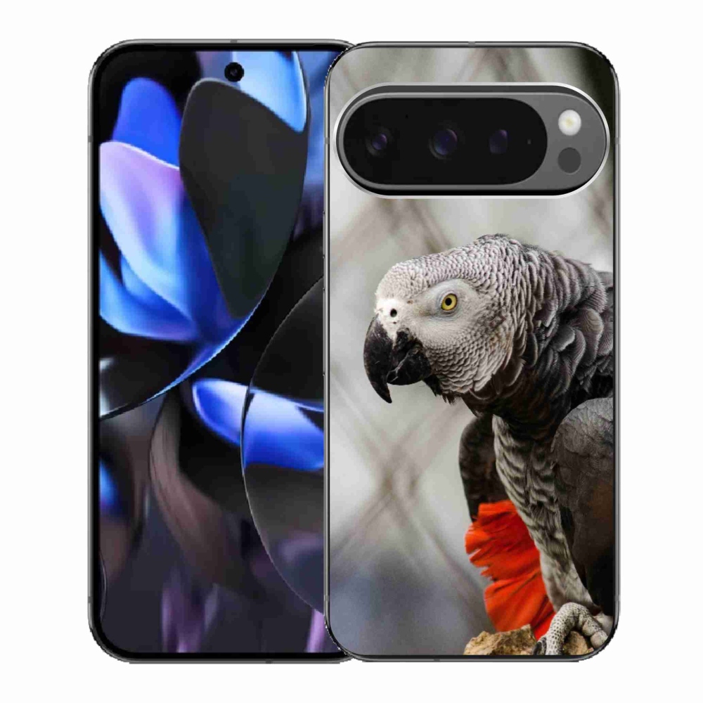 Gél borítás mmCase a Google Pixel 9 Pro számára - papagáj jacko 3