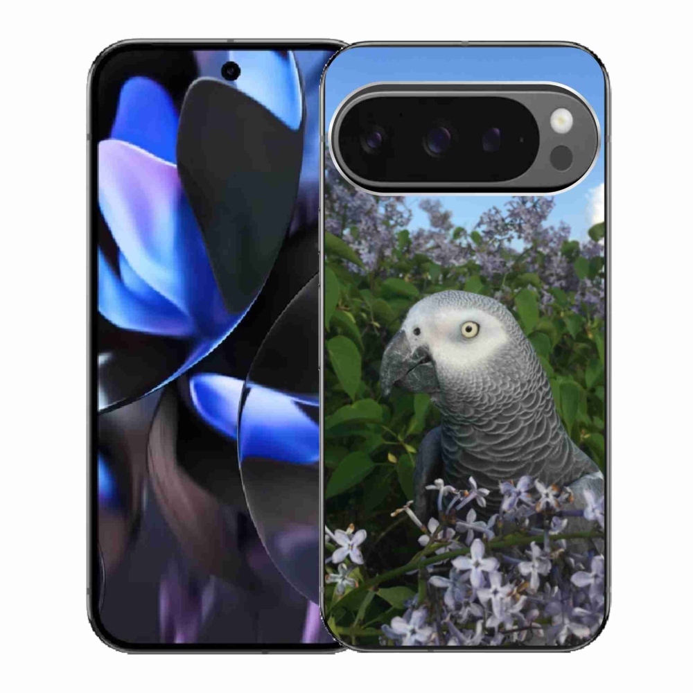 Gél borítás mmCase a Google Pixel 9 Pro számára - papagáj jacko