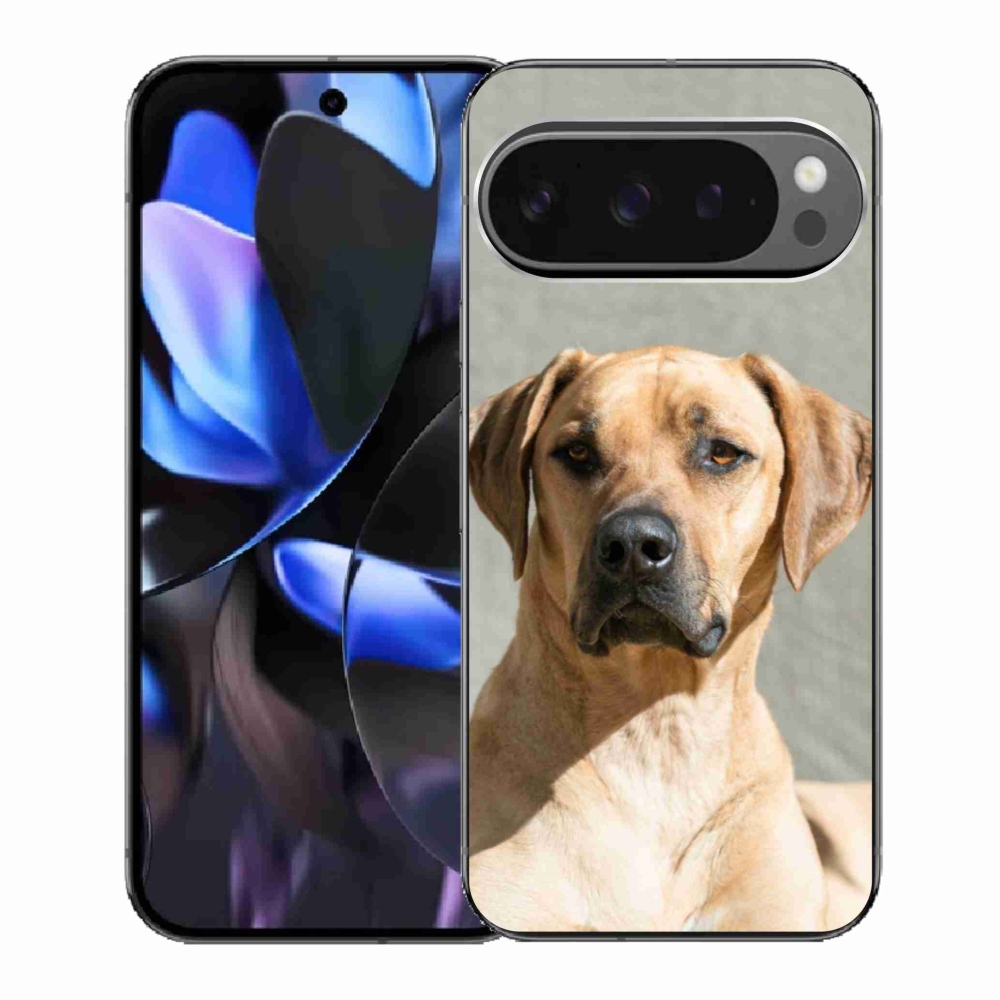 Gél borítás mmCase a Google Pixel 9 Pro számára - ridgeback