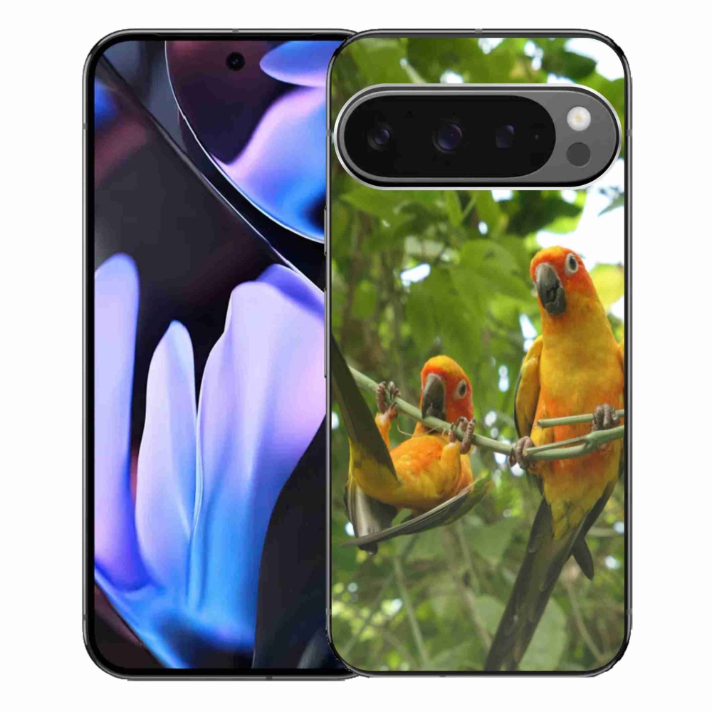 Gél borítás mmCase a Google Pixel 9 Pro XL-hez - papagájok aratingy