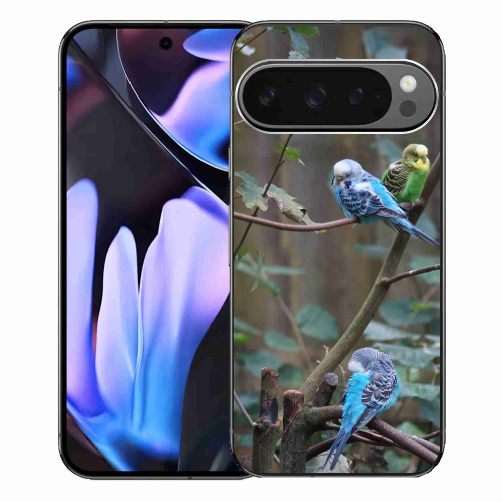 mmCase gél tok a Google Pixel 9 Pro XL-hez – papagájok az ágon
