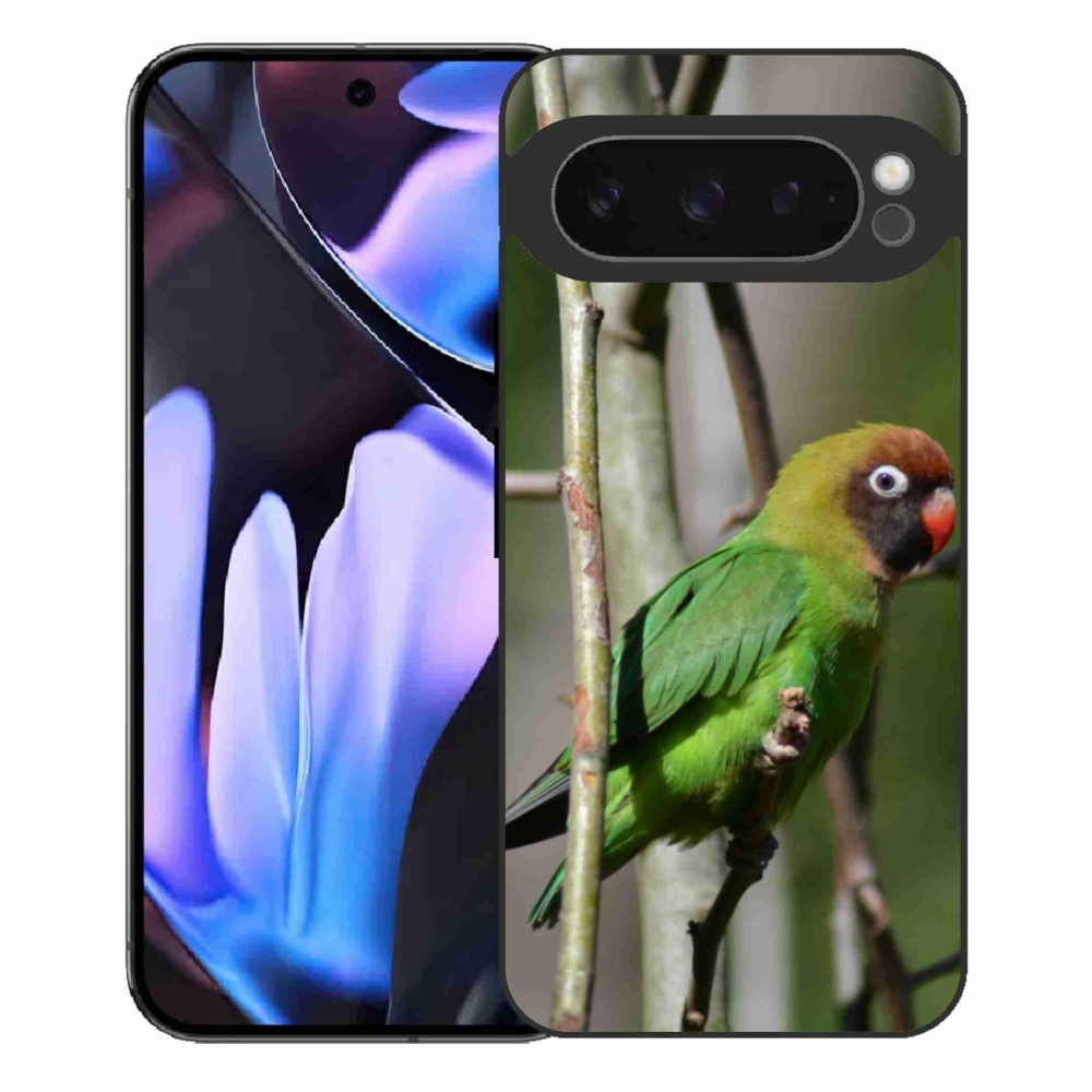 Gél borítás mmCase a Google Pixel 9 Pro XL-hez - papagáj agapornis