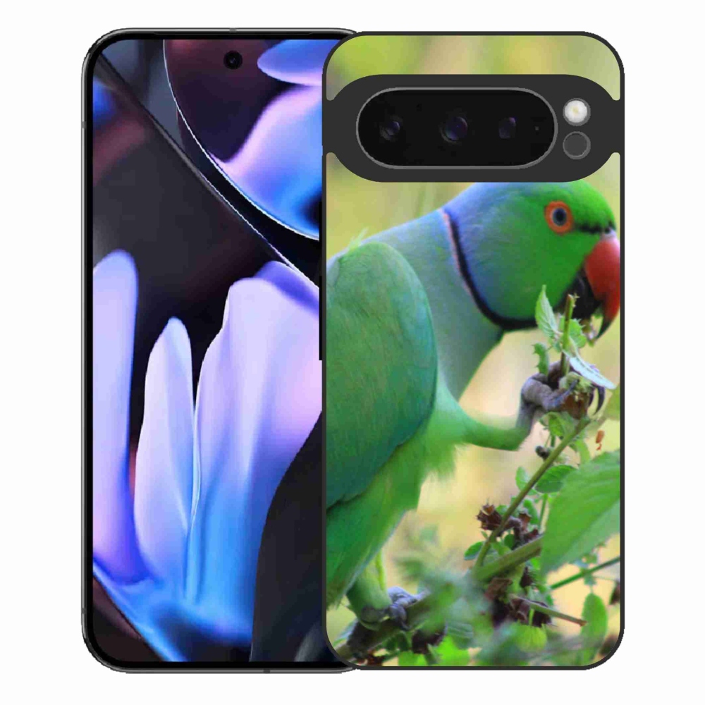 Gél borítás mmCase a Google Pixel 9 Pro XL-hez - papagáj alexandr