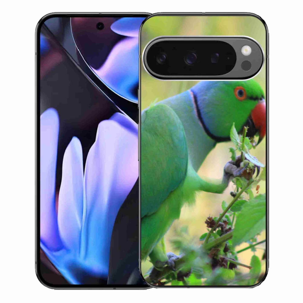 Gél borítás mmCase a Google Pixel 9 Pro XL-hez - papagáj alexandr